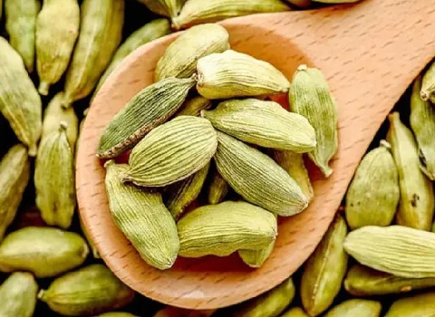 خرید و قیمت هل سبز کیلویی