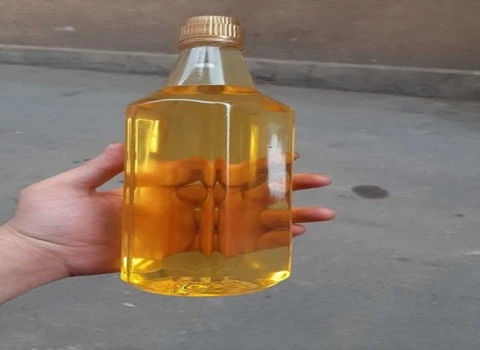 قیمت خرید روغن کنجد قم + طرز تهیه