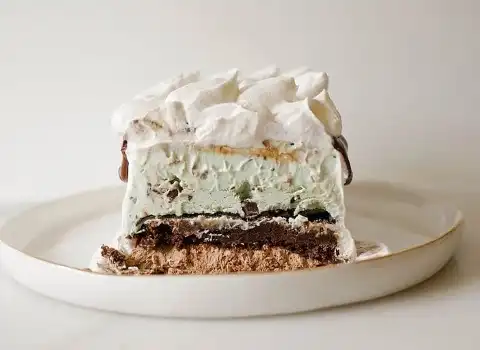 قیمت خرید کیک بستنی یخچالی + تست کیفیت