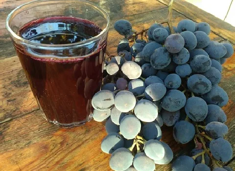 خرید عمده سرکه انگور ملایر با بهترین شرایط