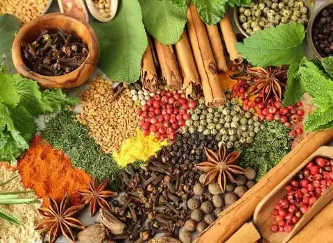 گیاهان دارویی عمده تهران؛ پیشگیری کننده (جینسینگ آویشن) طبیعی Tehran