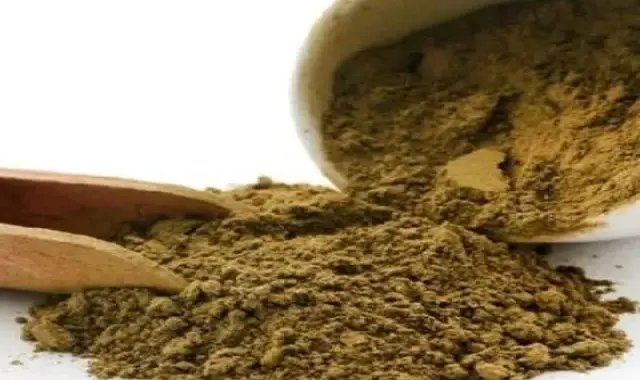 خرید عمده پودر حنا مشکی با بهترین شرایط