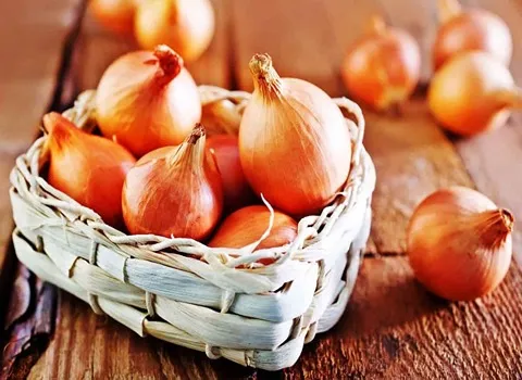 قیمت پیاز خام + خرید و فروش پیاز خام عمده