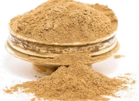 راهنمای خرید گیاه شیرین بیان خشک شده با شرایط ویژه و قیمت استثنایی