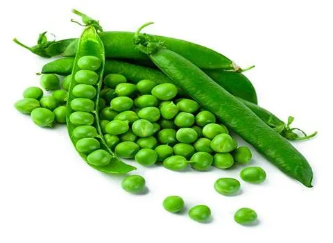 قیمت نخود فرنگی ایرانی + خرید و فروش عمده