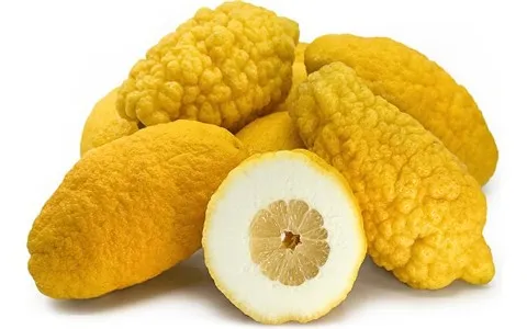 راهنمای خرید بالنگ پرتقال با شرایط ویژه و قیمت استثنایی