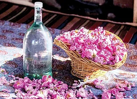 گلاب؛ سبک سنگین دوآتیشه حاوی ویتامین (C E)