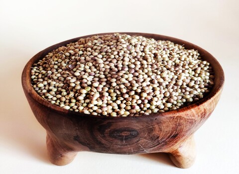 مشخصات تخم گشنیز آسیاب شده و نحوه خرید عمده