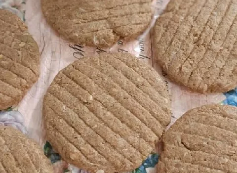 قیمت سویا برگر خانگی + مشخصات بسته بندی عمده و ارزان