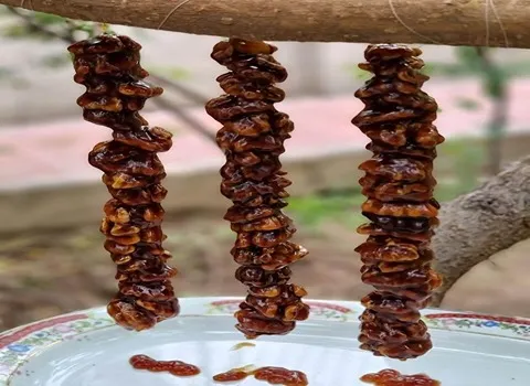 سوجوق گردویی ترکیه همراه با توضیحات کامل و آشنایی