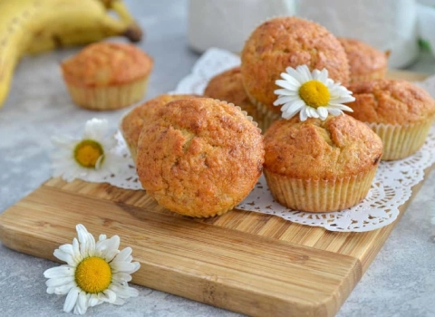 کیک دوقلو کاکائویی آشنایی صفر تا صد قیمت خرید عمده