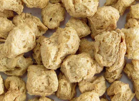 خرید و قیمت فواید و مضرات سویا گوشتی عمده و خرده