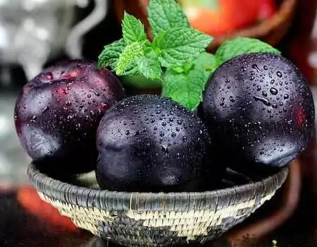 آلو سیاه ریز همراه با توضیحات کامل و آشنایی