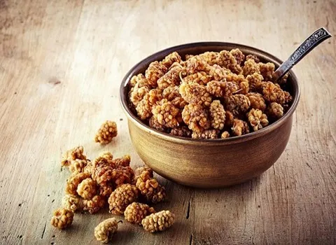 راهنمای خرید توت خشک درجه یک با شرایط ویژه و قیمت استثنایی