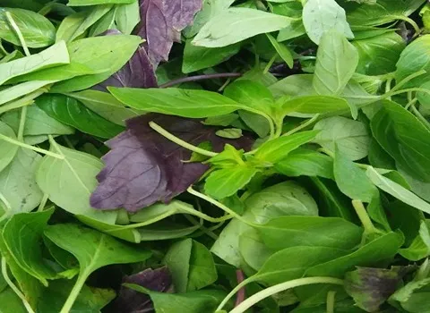 قیمت سبزی خوردن پاک شده