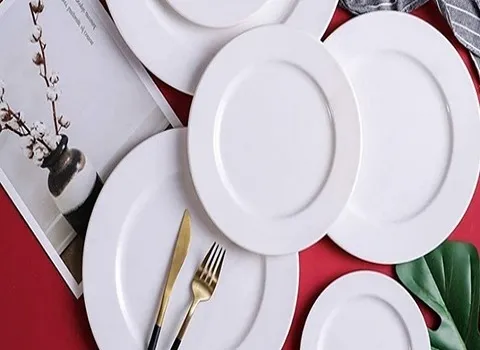 ظروف ملامین هتلی؛ دیس بشقاب کاسه 2 مدل طرح دار ساده