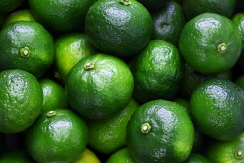 معرفی نارنگی سبز شمال + بهترین قیمت خرید