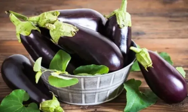 مرجع قیمت انواع بادمجان سیاه + خرید ارزان