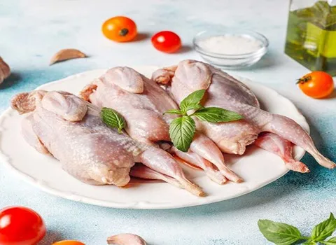 قیمت گوشت بلدرچین ارگانیک + مشخصات بسته بندی عمده و ارزان