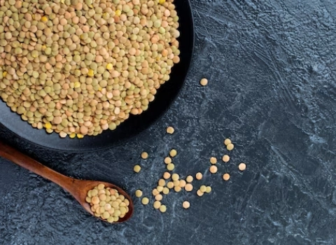 قیمت خرید عدس محلی زنجانی  + مشخصات، عمده ارزان