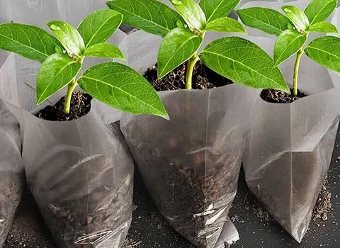 نایلون بسته بندی خاک؛ چاپی کدر شفاف 2 جنس پلی اتیلن سبک سنگین