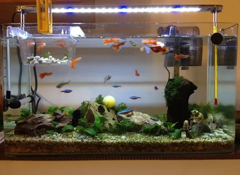 آشنایی با بخاری آکواریوم + قیمت استثنایی خرید بخاری آکواریوم