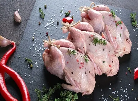 قیمت خرید گوشت بلدرچین + مزایا و معایب