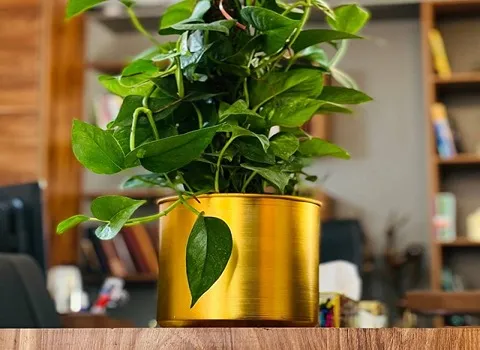 خرید و قیمت گلدان فلزی عروسکی بزرگ