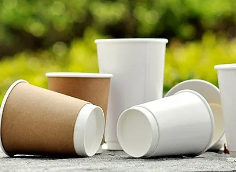 لیوان کاغذی اصفهان همراه با توضیحات کامل و آشنایی