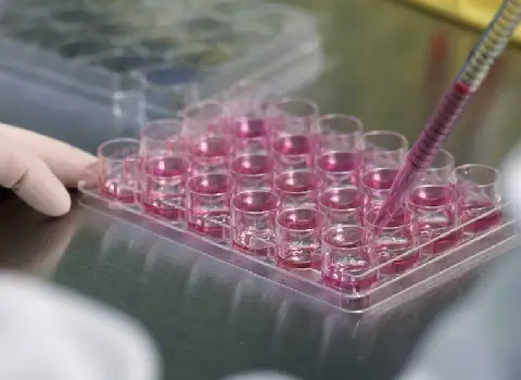 خرید انواع کیت آزمایشگاهی  با بهترین قیمت