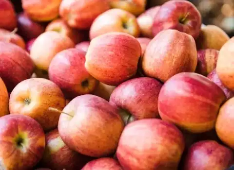 قیمت سیب درختی درجه 1