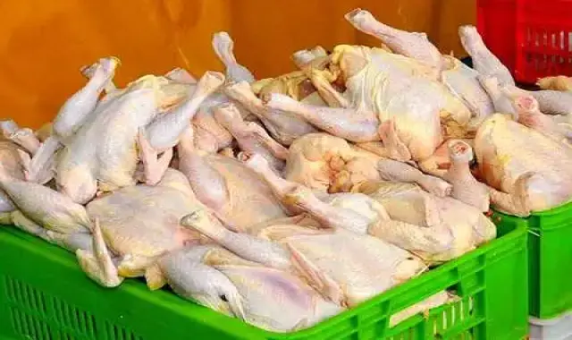 گوشت بوقلمون کیلویی؛ لذیذ زود پز عدم تورم حاوی Tryptophan