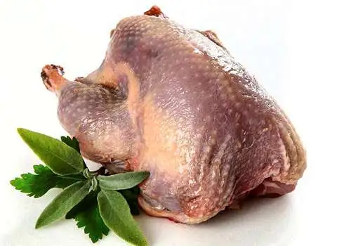 خرید انواع گوشت صادراتی بوقلمون + قیمت