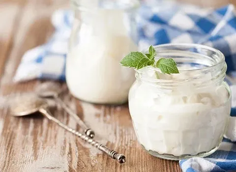 قیمت خرید کشک مایع سنتی + مشخصات، عمده ارزان