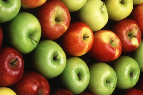 خرید بهترین انواع سیب درختی با قیمت ارزان