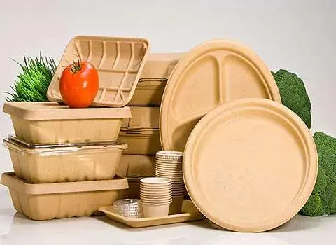 دیس یکبار مصرف کاغذی آشنایی صفر تا صد قیمت خرید عمده