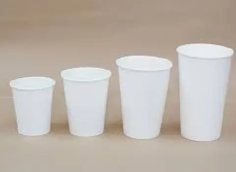 مشخصات لیوان یکبار مصرف مشهد و نحوه خرید عمده