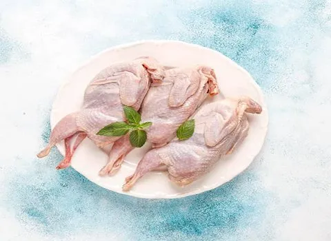 قیمت خرید گوشت بلدرچین + فروش عالی