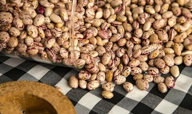 لوبیا چیتی قم (رومی) کنترل وزن نفخ کم بسته بندی 800 900 گرمی