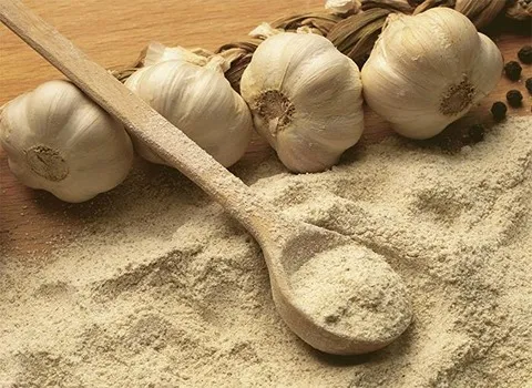 پودر سیر خشک + قیمت خرید، کاربرد، مصارف و خواص