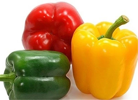 قیمت فلفل دلمه ای ایران + پخش تولیدی عمده کارخانه