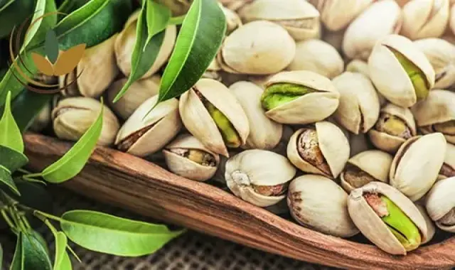 پسته خام درجه یک؛ اکبری احمدآقایی کله قوچی آهن ویتامین Phosphorus