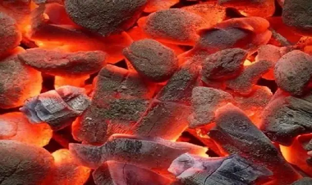 خرید عمده زغال پسته قلیانی با بهترین شرایط