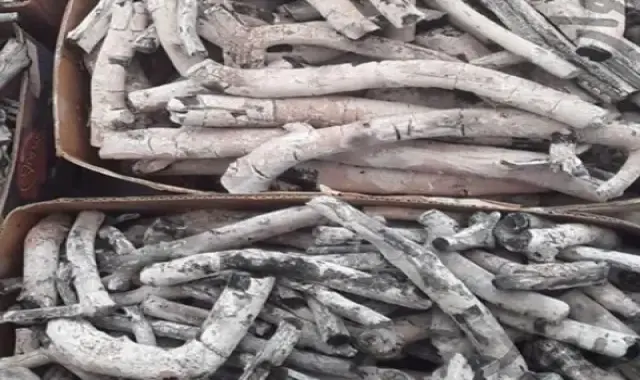 لیست قیمت زغال پسته رفسنجان به صورت عمده و با صرفه