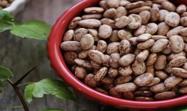 بهترین انواع لوبیا چیتی با قیمت ارزان