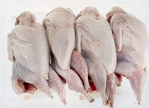 خرید و قیمت گوشت بلدرچین منجمد تازه