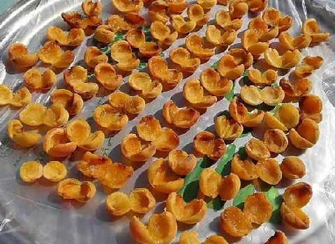 برگه زردآلو خانگی؛ میان وعده فیبر Vitamin بهبود قلب دستگاه گوارش