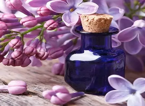 مشخصات روغن بنفشه خوراکی و نحوه خرید عمده