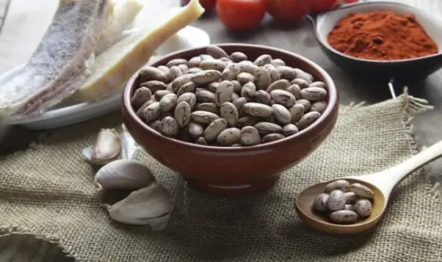 خرید با کیفیت ترین انواع لوبیا چیتی با قیمت ارزان