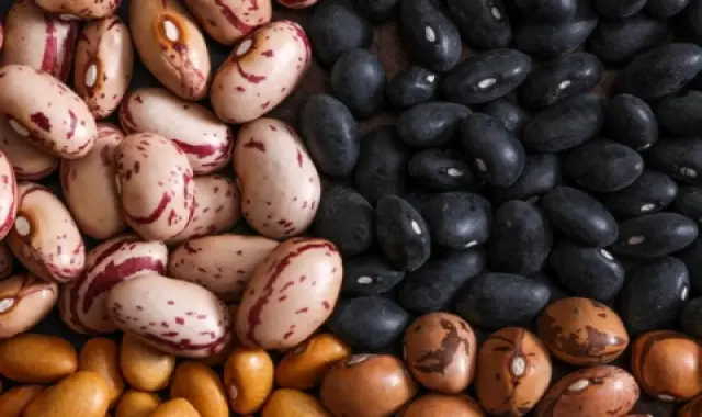 قیمت خرید لوبیا چیتی از تولید به مصرف